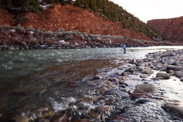 Lower Colorado River Fly Fishing Report Near Grand Junction